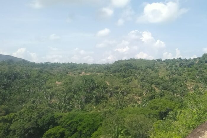 Reserva Mana Dulce, Agua de Dios, Cundinamarca
