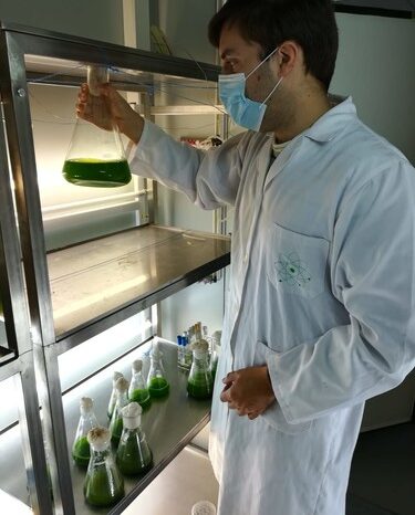 Una microalga limpia entornos acuáticos contaminados por cadmio