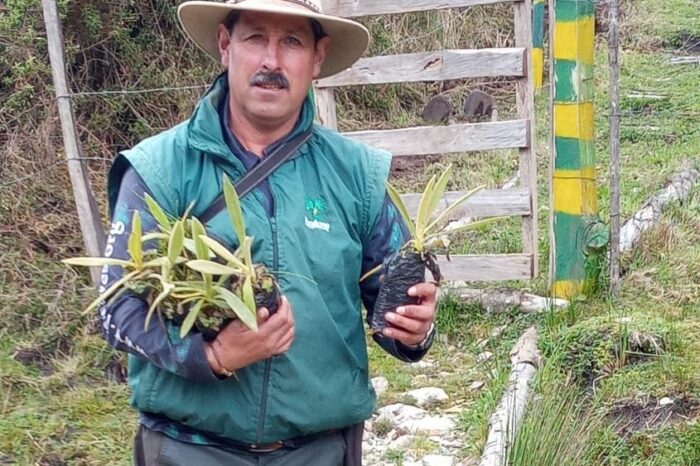 La historia del ‘guardián del loro orejiamarillo’ asesinado en Colombia