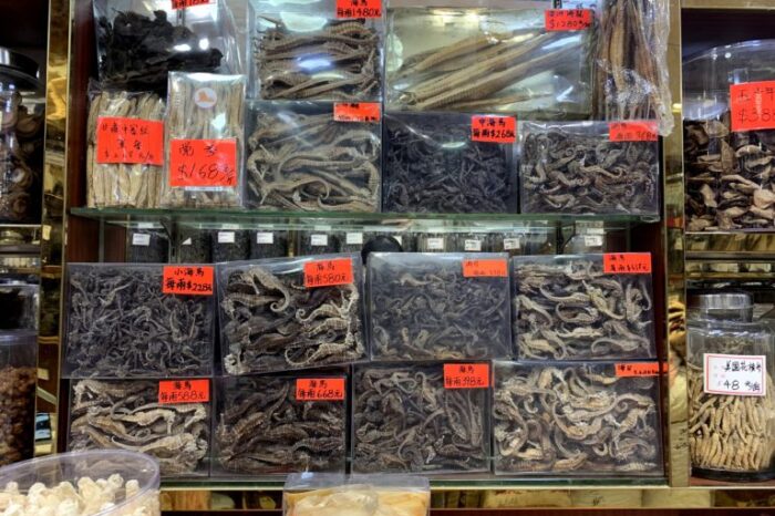 De caballitos de mar a polvos medicinales y afrodisíacos en China