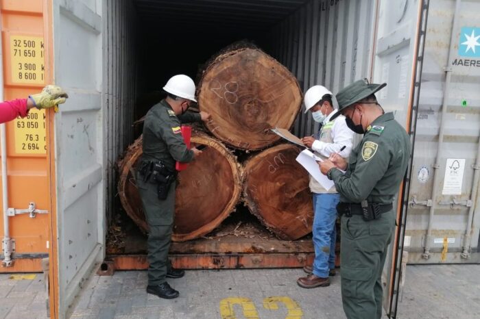 Incautan 145 troncos de campano que iban hacia Corea del Norte