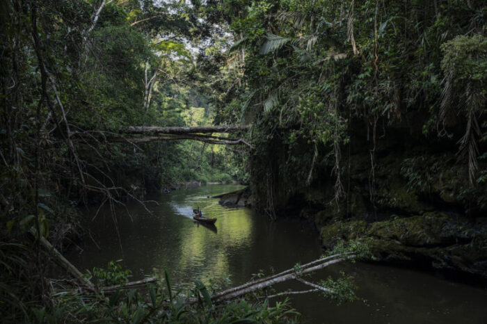 Parque Nacional da Serra do Divisor amenazado por nueva carretera hacia Perú