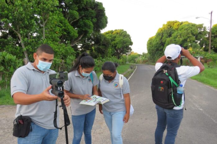 Global Big Day 2021: ¿Qué pasó durante la competencia de aves más importante del mundo?