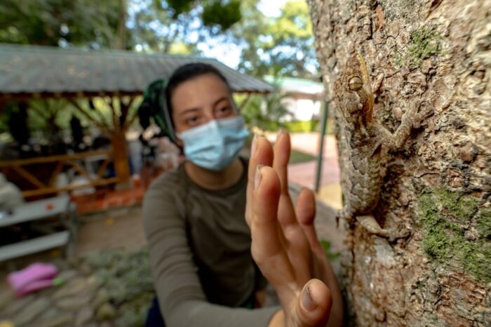 Convocatoria a jóvenes investigadores de insectos