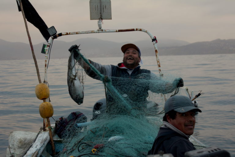 Pescadores de merluza. Foto: Michelle Carrere