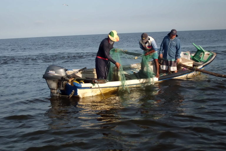 Pescadores, consumidores y tecnología: una alianza para salvar los