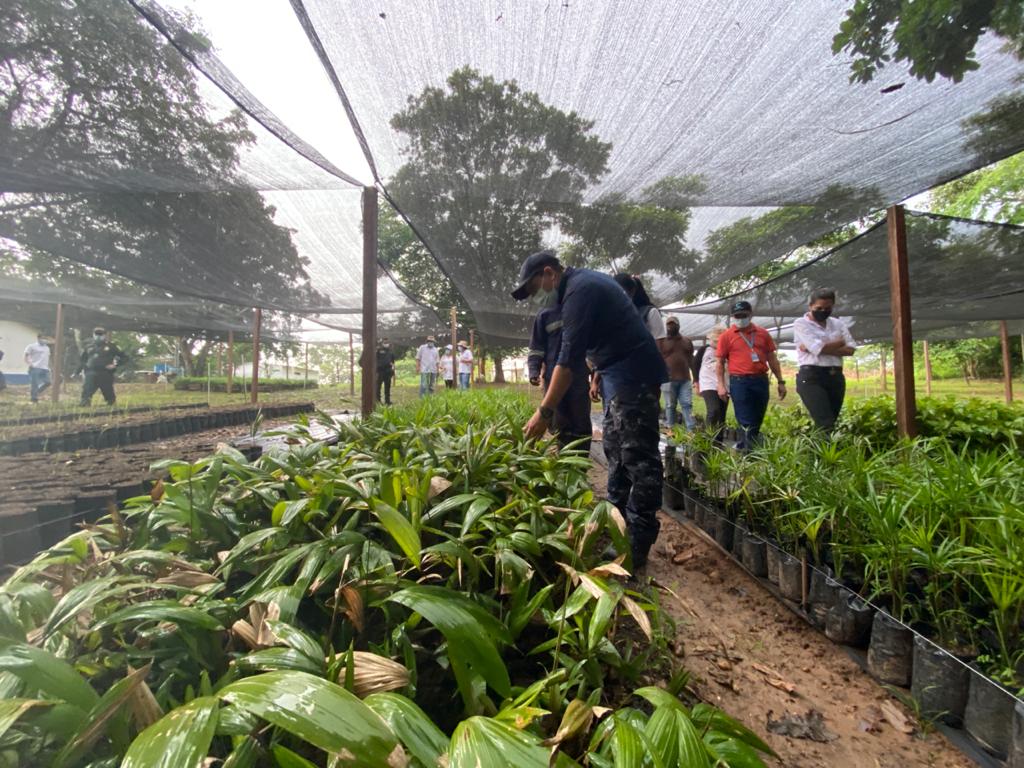 El vivero de Puerto López, Meta ya suministra plantas para programas de reforestación y restauración.