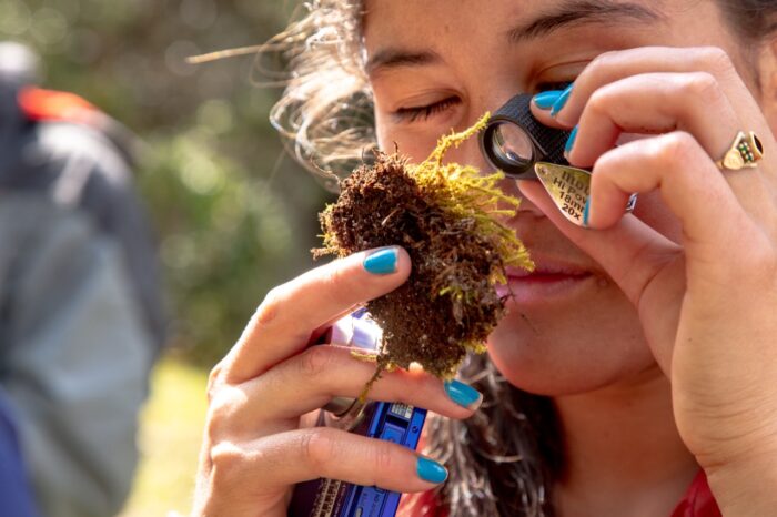 ¿En qué consiste la Evaluación Nacional de Biodiversidad?