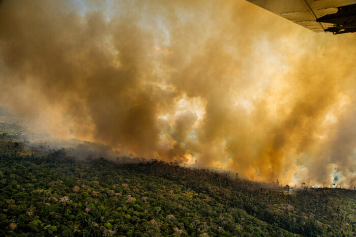 Amazonía brasileña emite más carbono del que captura