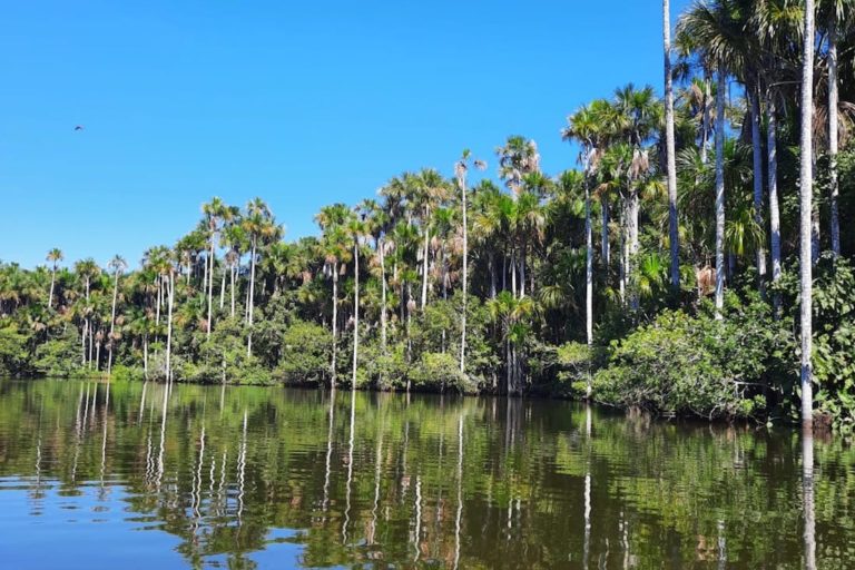 Redes de pesca que destruían humedal en Osa serán transformadas en