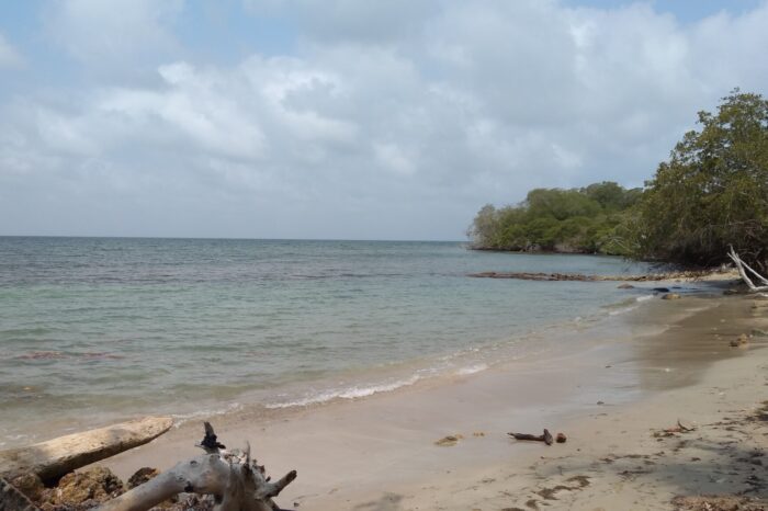 Isla Fuerte en Cartagena, Bolívar