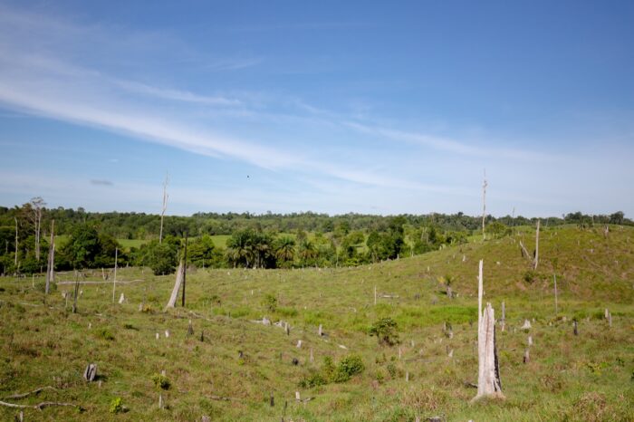 Colombia no sale bien librada en Evaluación Nacional de Biodiversidad