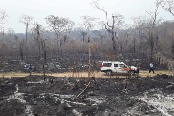 Incendios en Bolivia: una década de daños para 58 territorios indígenas
