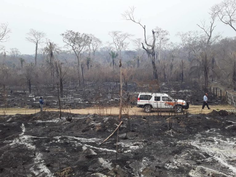 Incendios En Bolivia: Una Década De Daños Para 58 Territorios Indígenas ...