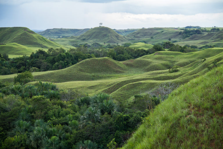 MANACACIAS-CRISTALINA--Fotografìa-Rodrigo-Durán-Bahamón