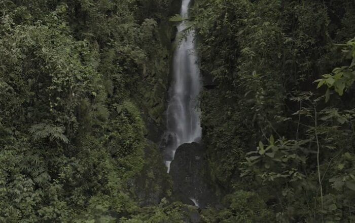 Verde como el oro, la voz de la comunidad sobre el proyecto minero en Jericó