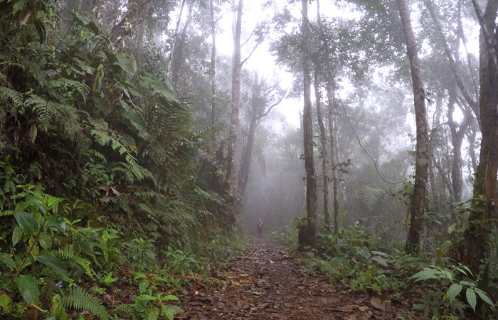 Investigadores caleños entrenan a comunidad sobre aves