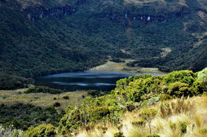 Santuario de Fauna y Flora Galeras, Nariño