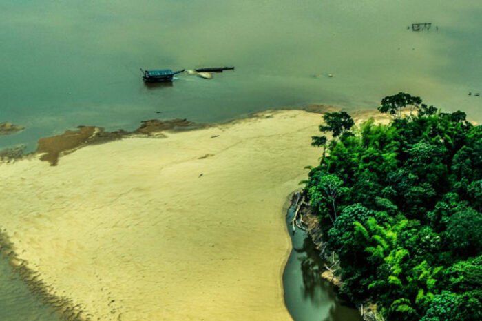 Amazonia: Poco tiempo para evitar "punto de inflexión catastrófico"