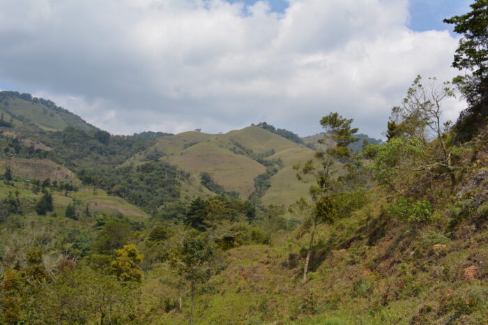 Recuperar es armonizar la Madre tierra