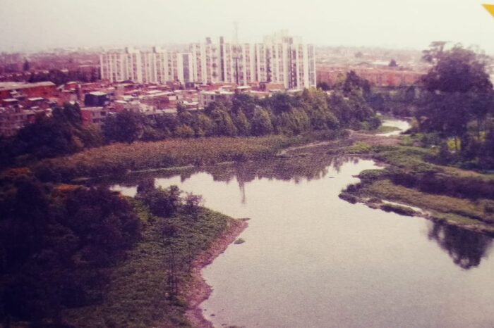 Humedales de Kennedy, un libro-sentencia para no olvidar