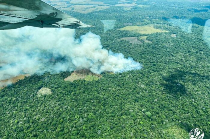 "Estamos perdiendo la conectividad entre Amazonía y Andes"