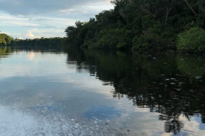 La polémica resolución que afecta a las reservas forestales