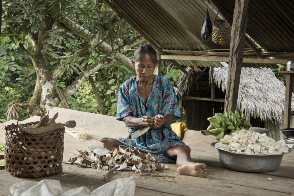 Comunidad de San Martín, Amazonas. Foto: Paola Aponte/Instituto Sinchi