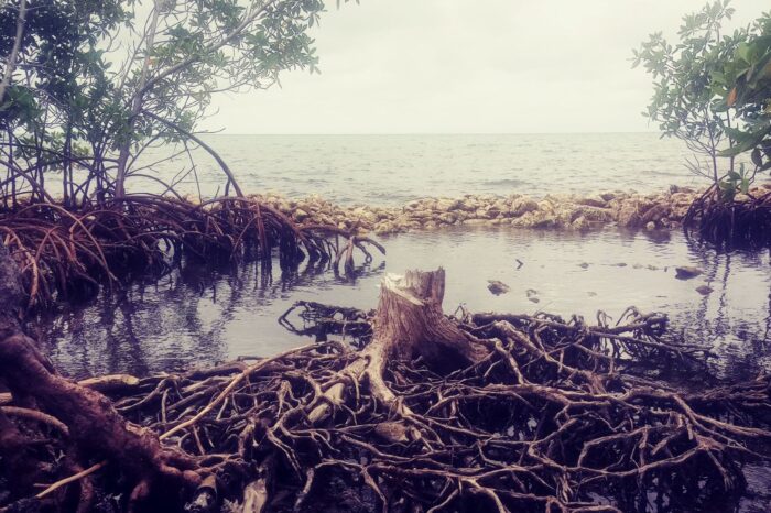 El impacto del cambio climático en la zona insular de Cartagena
