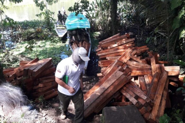 En 20 años la Amazonía ecuatoriana ha perdido 623 mil hectáreas
