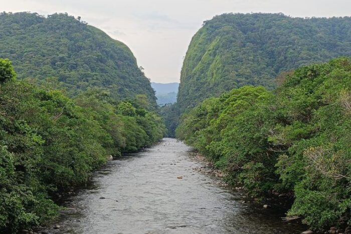 Caquetá: Campesinos transforman zonas deforestadas en fincas sostenibles