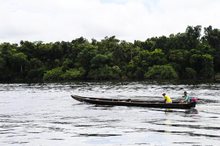 La estrella fluvial del Inírida, un gran humedal protegido por comunidades