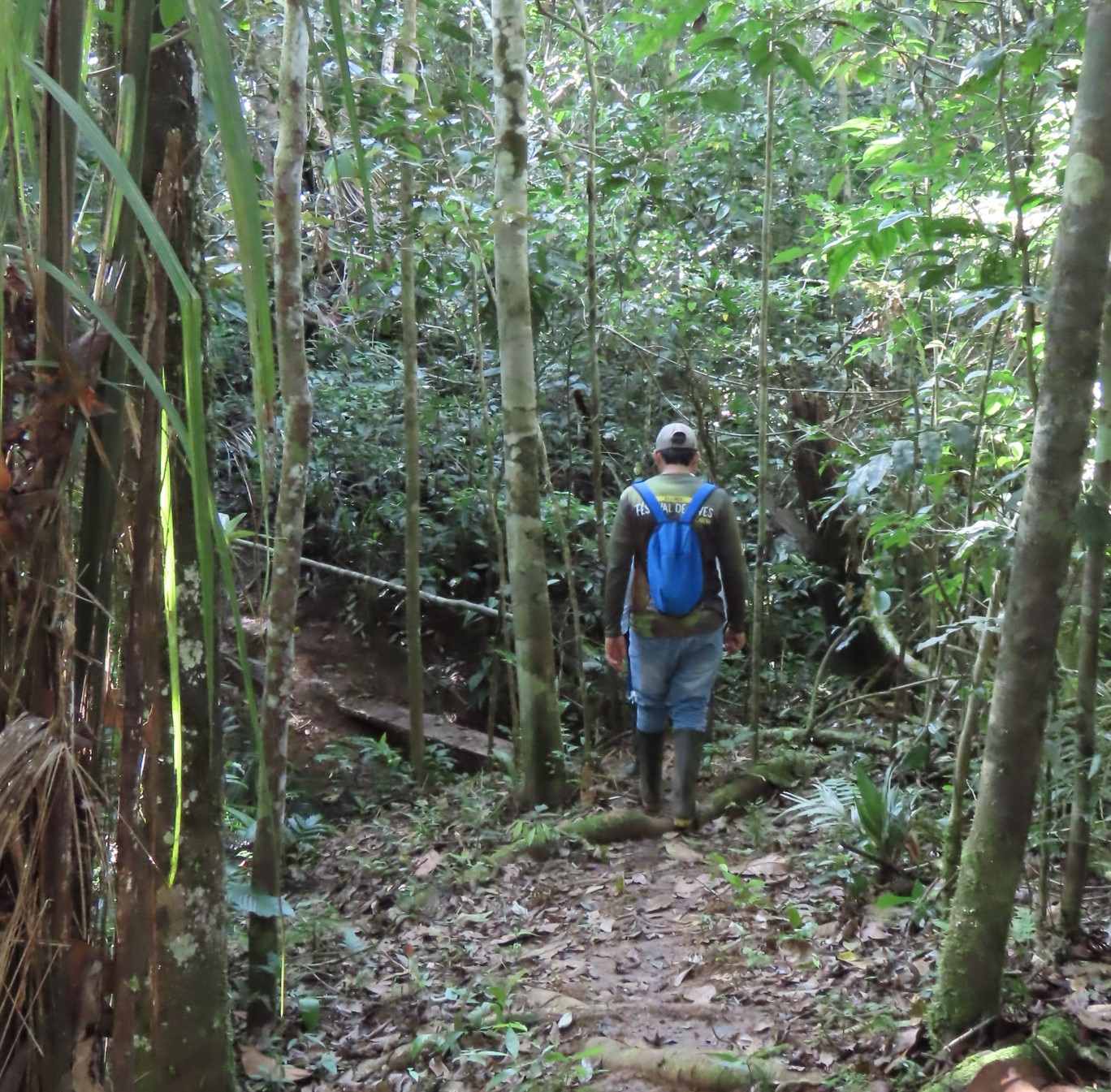 Adriano Ortíz, guía de la reserva Santuario mayora a su ingreso al bosque. Foto: OlgaCGuerrero