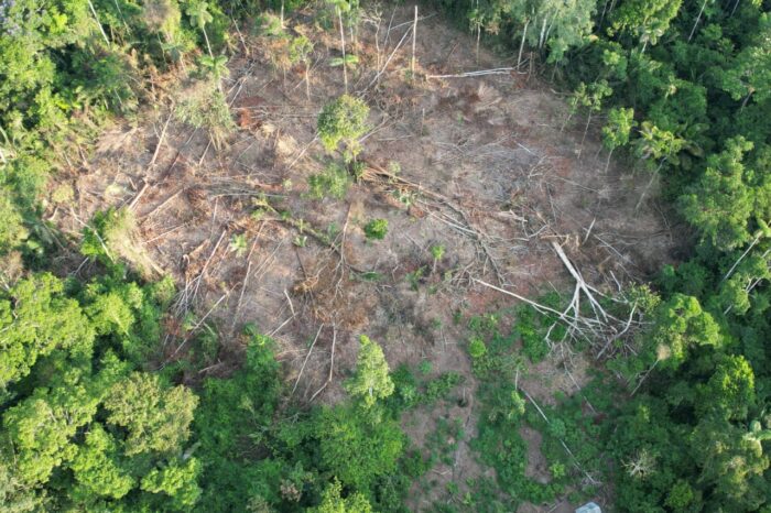 Balsa en la Amazonía, cuatro años después del 'boom'