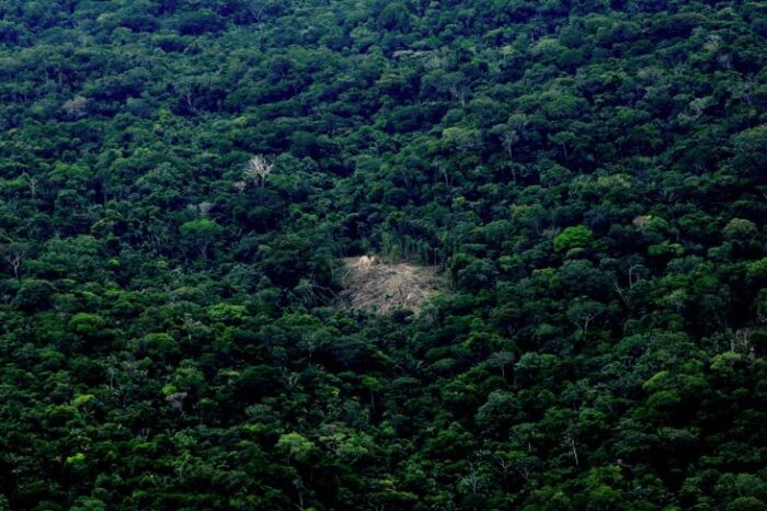 Urge proteger a los pueblos indígenas en aislamiento