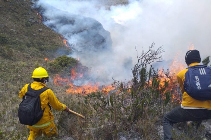 “Es muy probable que sigamos viendo un aumento en la frecuencia y la gravedad de los incendios"