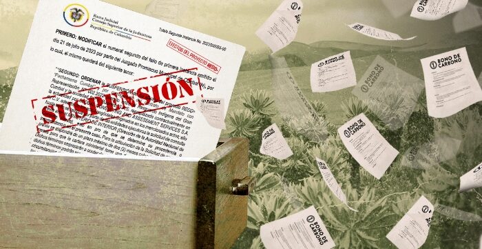 El proyecto de carbono suspendido que sigue transando bonos e incumple fallo judicial