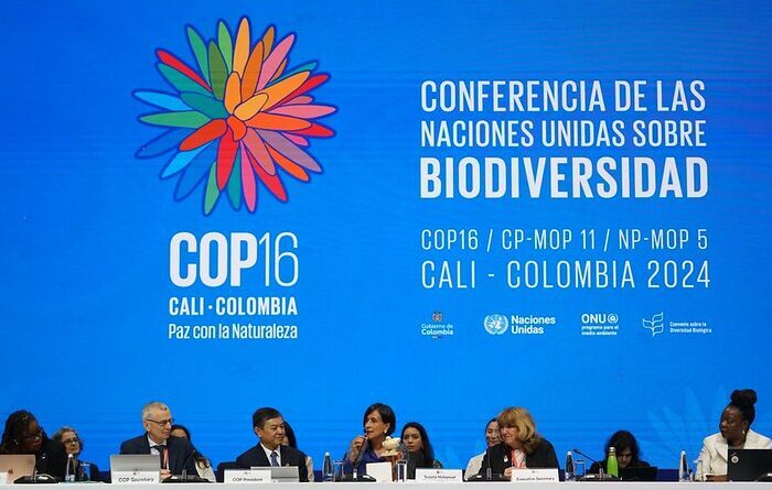 Arrancó la COP16 de Biodiversidad, estos son cuatro de sus objetivos