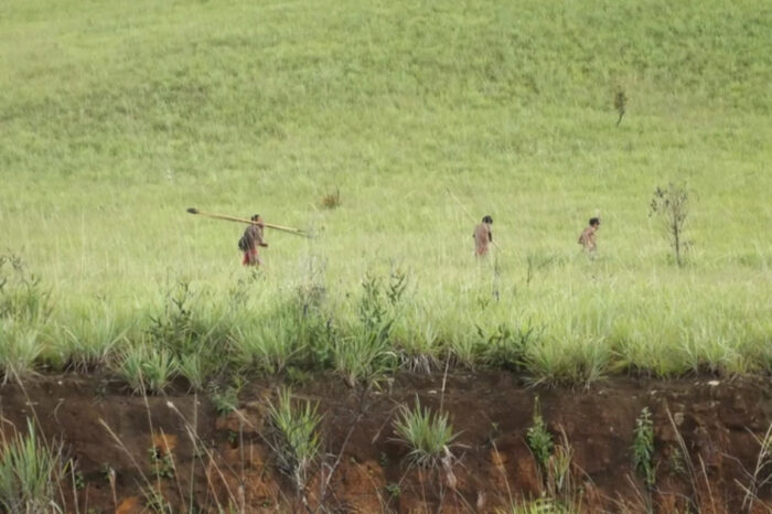 CIDH exige proteger a pueblo Yanomami