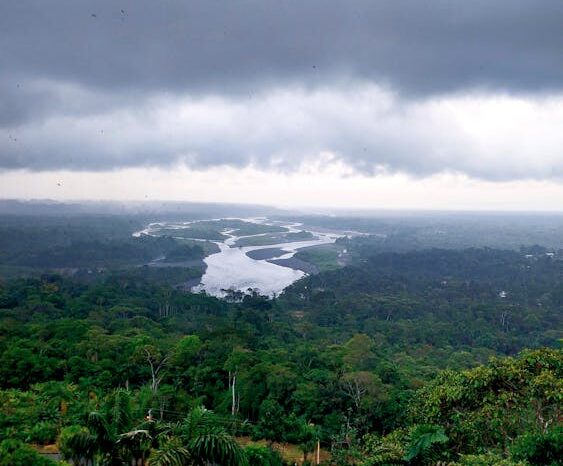 Encuentran microplásticos en peces de dos ríos de la Amazonía ecuatoriana