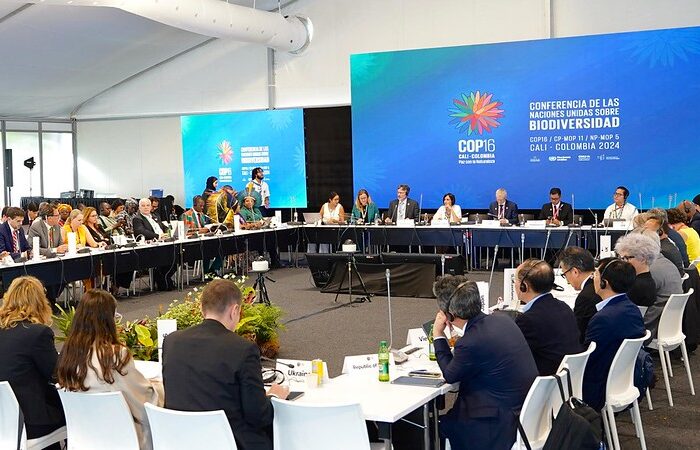 Recta final de COP16: pocos avances y temas vitales estancados