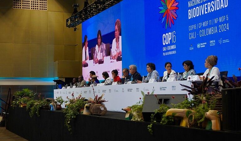 Trabajos en la sesión plenaria de la COP16. Foto: UN Biodiversity