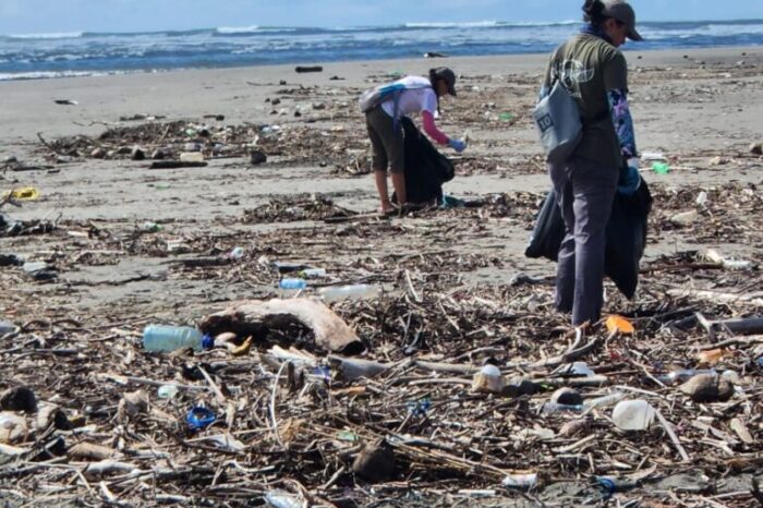 Día Mundial del Ambiente: esfuerzos contra la contaminación plástica en América Latina