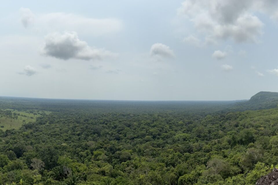 Vista de la Amazonía en el Guaviare, Colombia, desde Cerro Azul. Foto: Laura María Villarraga Ariza.