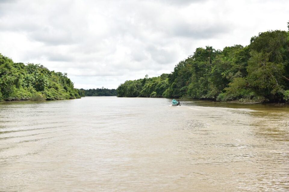 La crisis ambiental se volvió humanitaria por la violencia generada con el acaparamiento de tierras de grupos armados en Guaviare. Foto: Defensoría del Pueblo