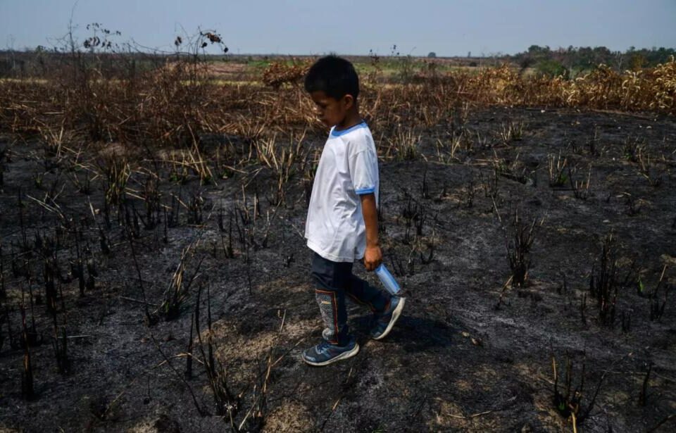 Un paraje arrasado de la Amazonia sudamericana se ofrece a la vista de un niño. El cambio climático y sus impactos, como sequías que avivan los incendios forestales, o lluvias inesperadas que causan desastrosas inundaciones, impacta de manera creciente a la población latinoamericana y pueden ser la causa directa de que a millones de niños y jóvenes les aguarda una vida de pobreza. Imagen: Romani / Unicef