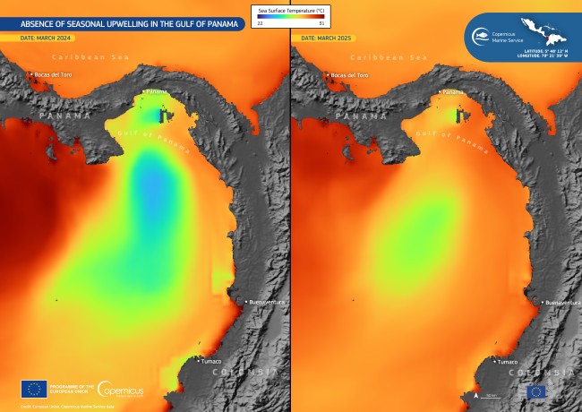 Ausencia de surgencias en el golfo de Panamá. Imagen: Unión Europea, datos del Servicio Marino de Copernicus