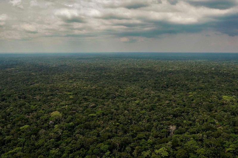 Minambiente abrió consulta para declarar protección de bioma amazónico. Imagen: MInambiente