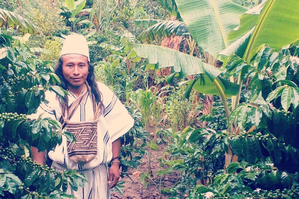 Oliverio Villafañe, líder indígena Arhuaco