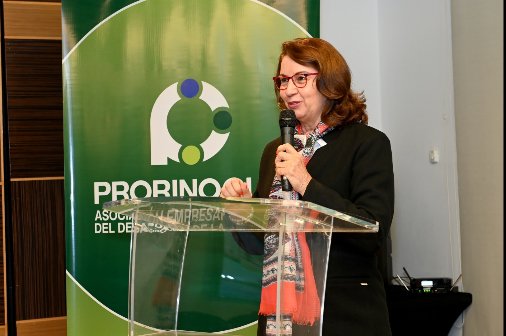 Clara Serrano, directora ejecutiva de Prorinoquia.